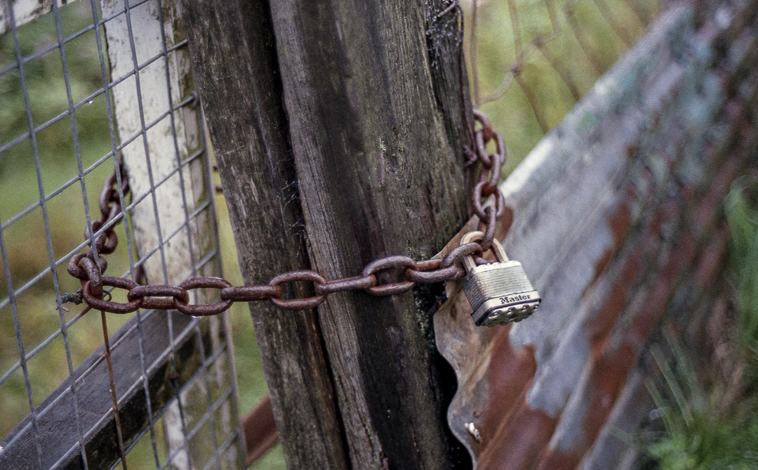 KonicaTC_AgfaVista400_009