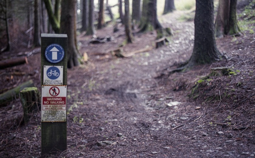 KonicaTC_AgfaVista400_022