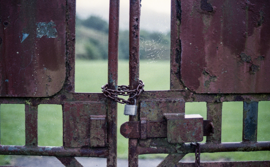 KonicaTC_AgfaVista400_033