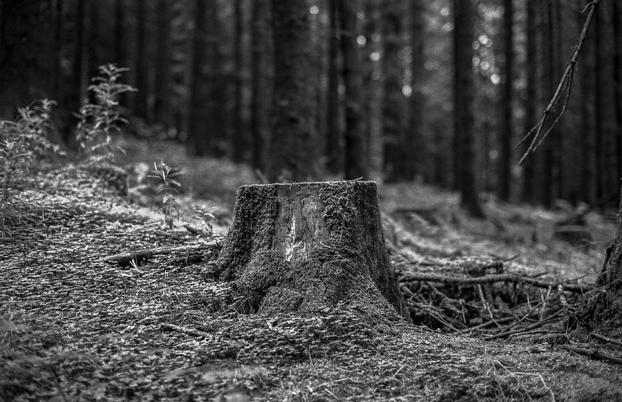 First time shooting Silberra Pan 200&nbsp;….