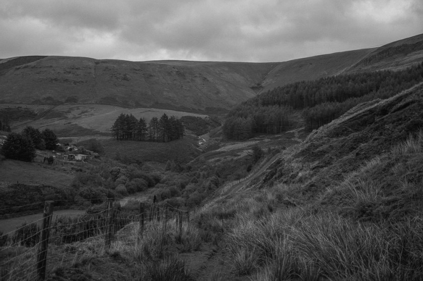 ilford HP5 - Fuji Gw690iii_002-2