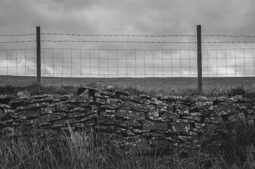 ilford HP5 - Fuji Gw690iii_003-Edit