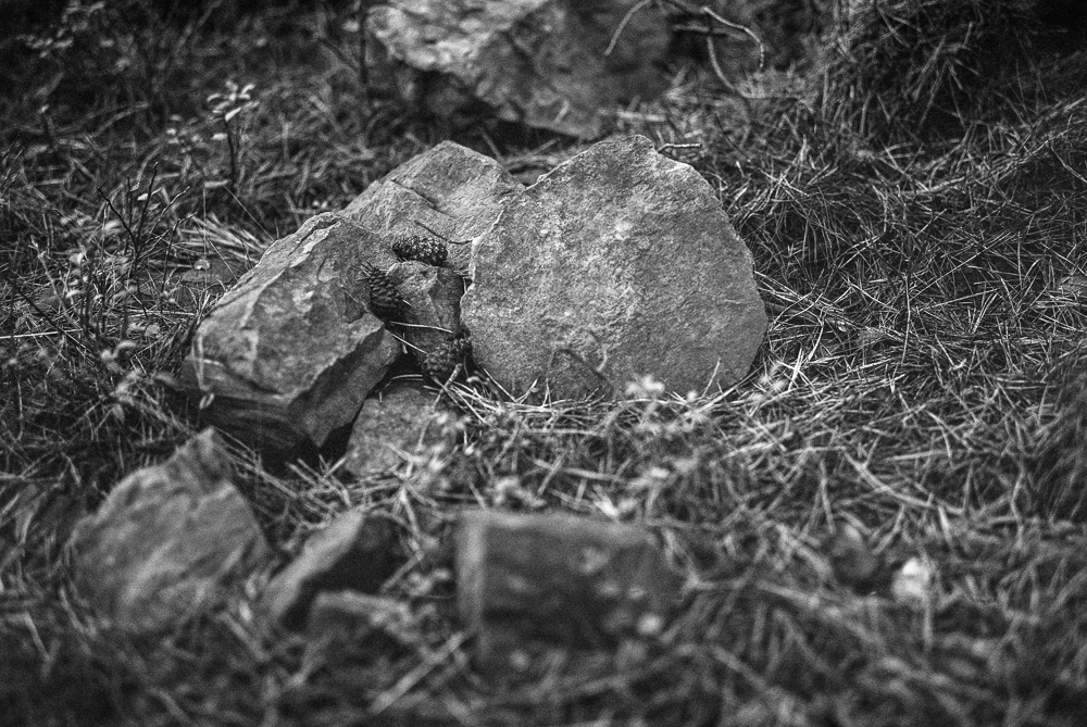 ilford HP5 - Fuji Gw690iii_005