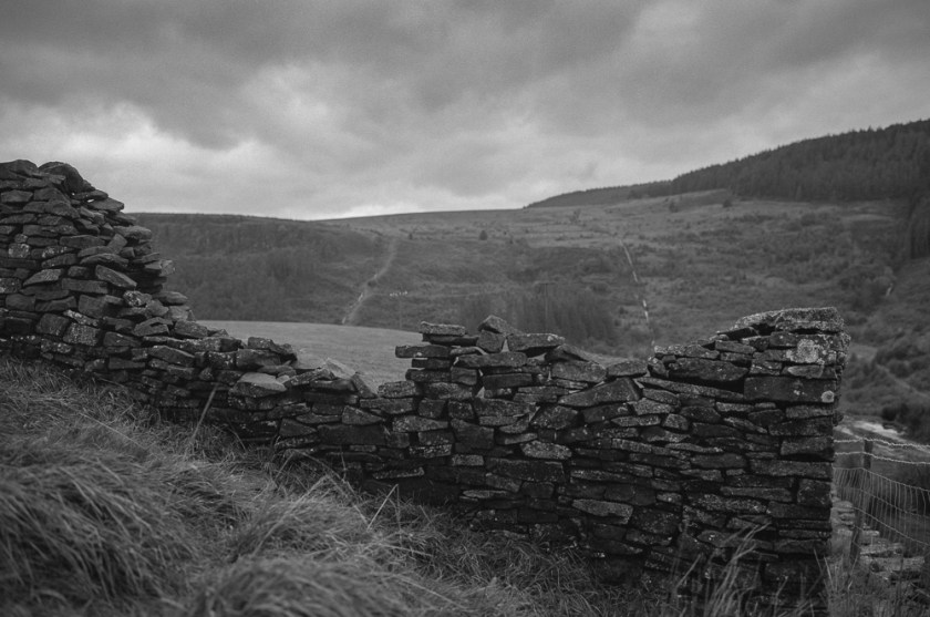 ilford HP5 - Fuji Gw690iii_006-Edit