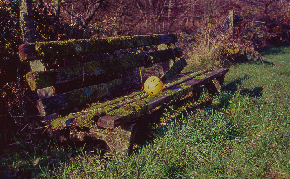 Last remains of Autumn on Kodak Elitechrome&nbsp;100…..