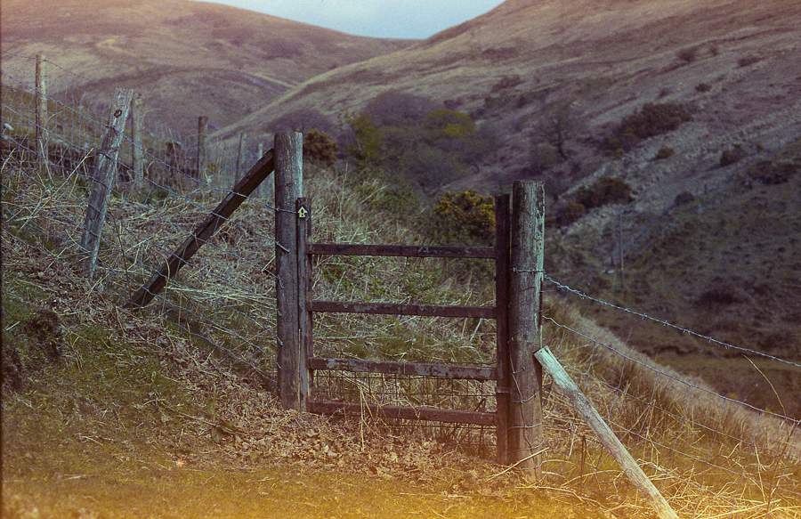 Testing some Kodak 5325 Commercial Internegative film&nbsp;…..