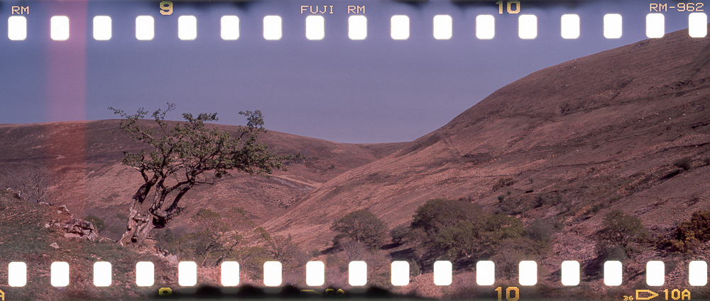 Shooting my Fuji GW690iii with wide format 35mm film like an Xpan&nbsp;….