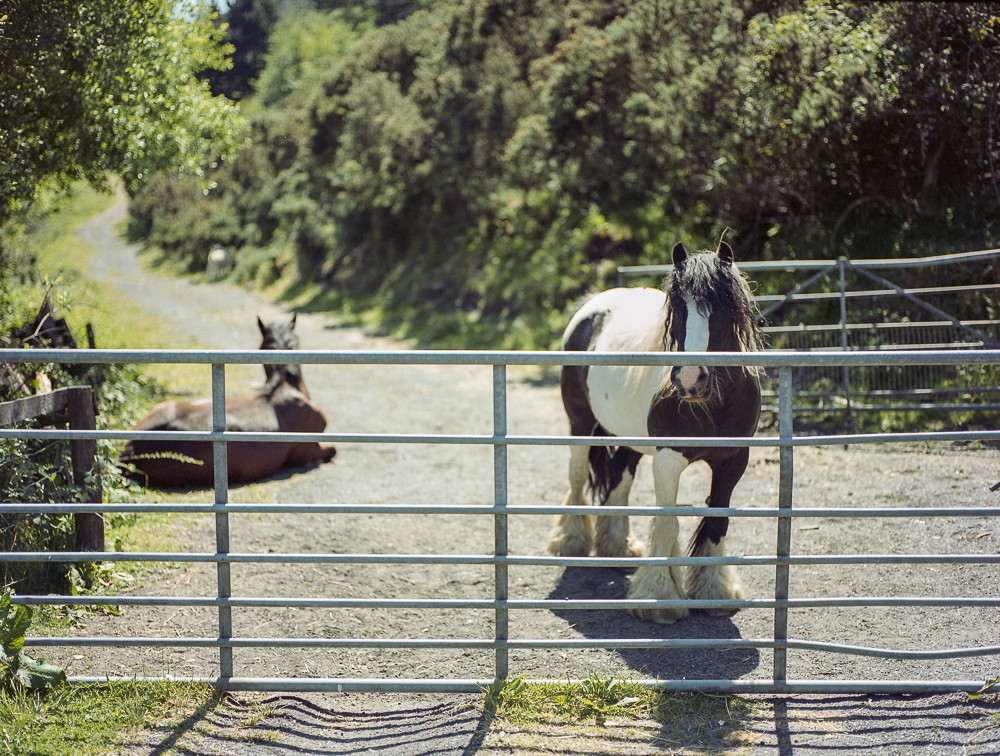 Sunny day walk with my Daughter & some Kodak Portra 400VC&nbsp;…