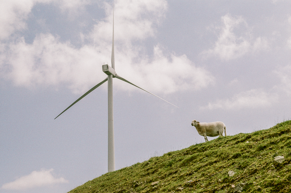 1st time shooting Lomochrome Metropolis 35mm … the whole&nbsp;roll