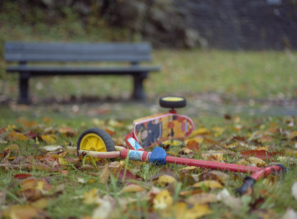 Autumn colours .. Mamiya 645 on Kodak Portra 400vc …. the whole&nbsp;roll