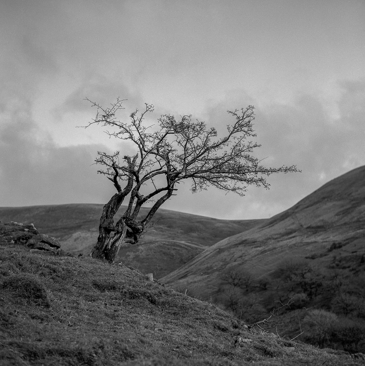20 minute walk with some ilford HP5 and my Yashicamat 124G&nbsp;…..
