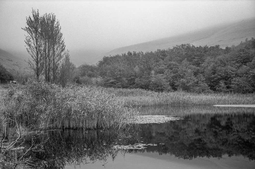 A walk to Ocean Colliery in the mist with Rollei Retro 400S ….. the whole&nbsp;roll