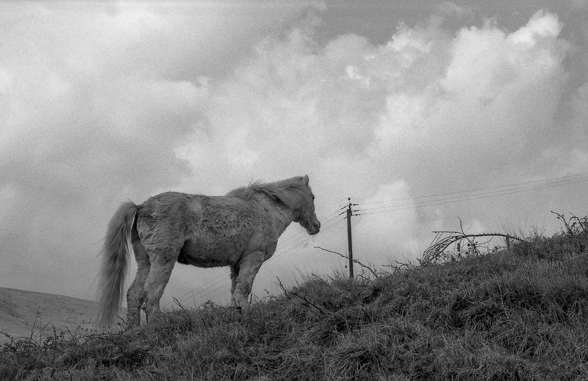 #FP4Party 2021 .. all my images together&nbsp;….