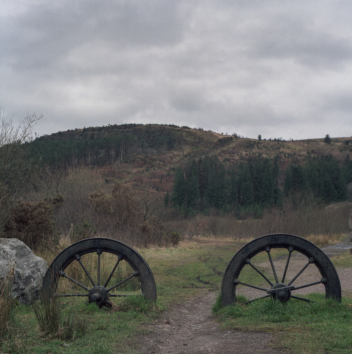 Expired Portra 800 & a slightly faulty Yashicamat 124G&nbsp;…