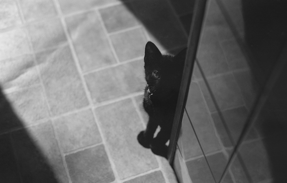 Lomography Babylon 13 Kino film .. Overcast day and no tripod .. let’s go for it&nbsp;….