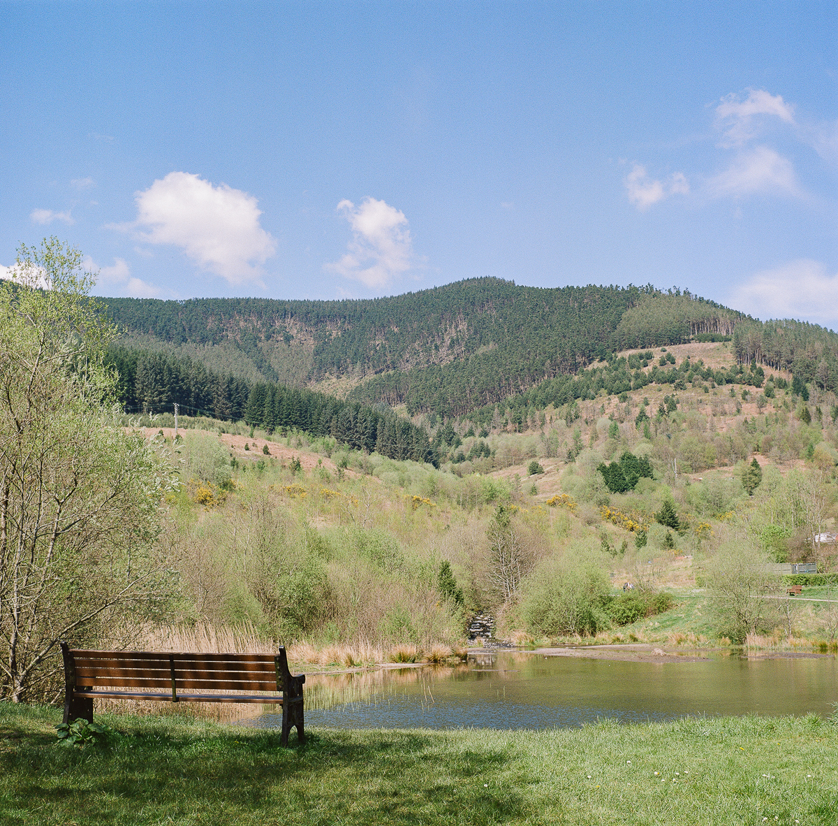 Trying Kodak Gold in 120 format … the whole&nbsp;roll