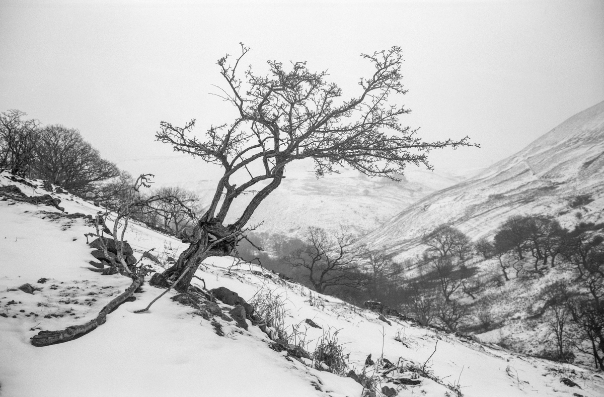 Snow day ….. Fuji GW690iii with ilford Delta 400&nbsp;…