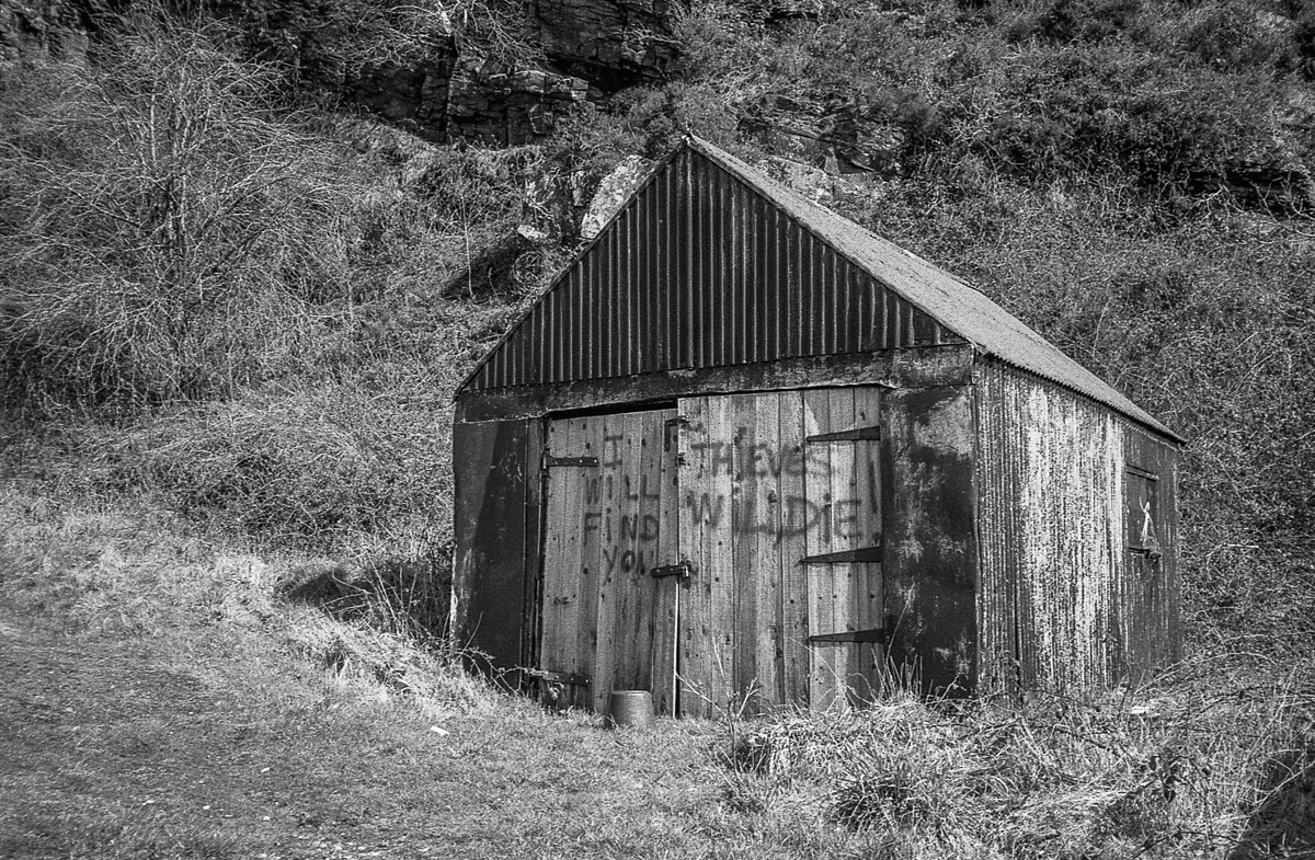 Testing a new camera .. Olympus XA with kentmere 400&nbsp;…